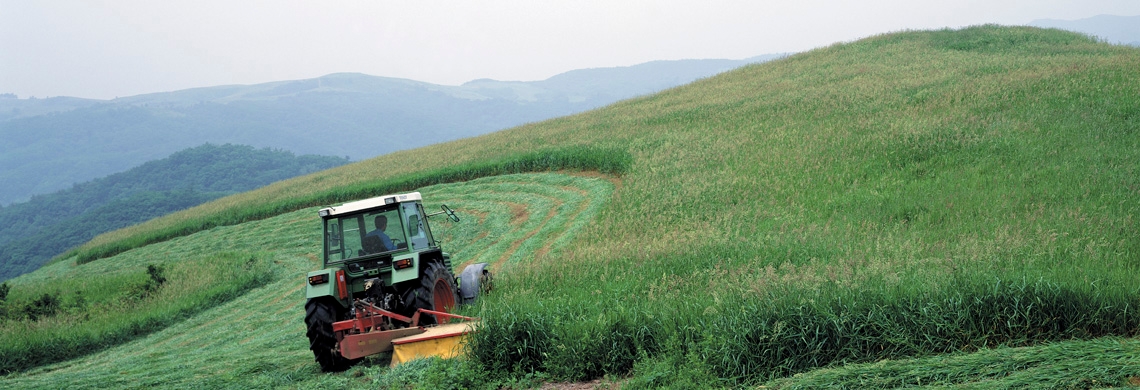 Symbolbild Landwirtschaft: Traktor auf einem Feld